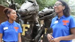 Florida Cicerones - Go BOLD