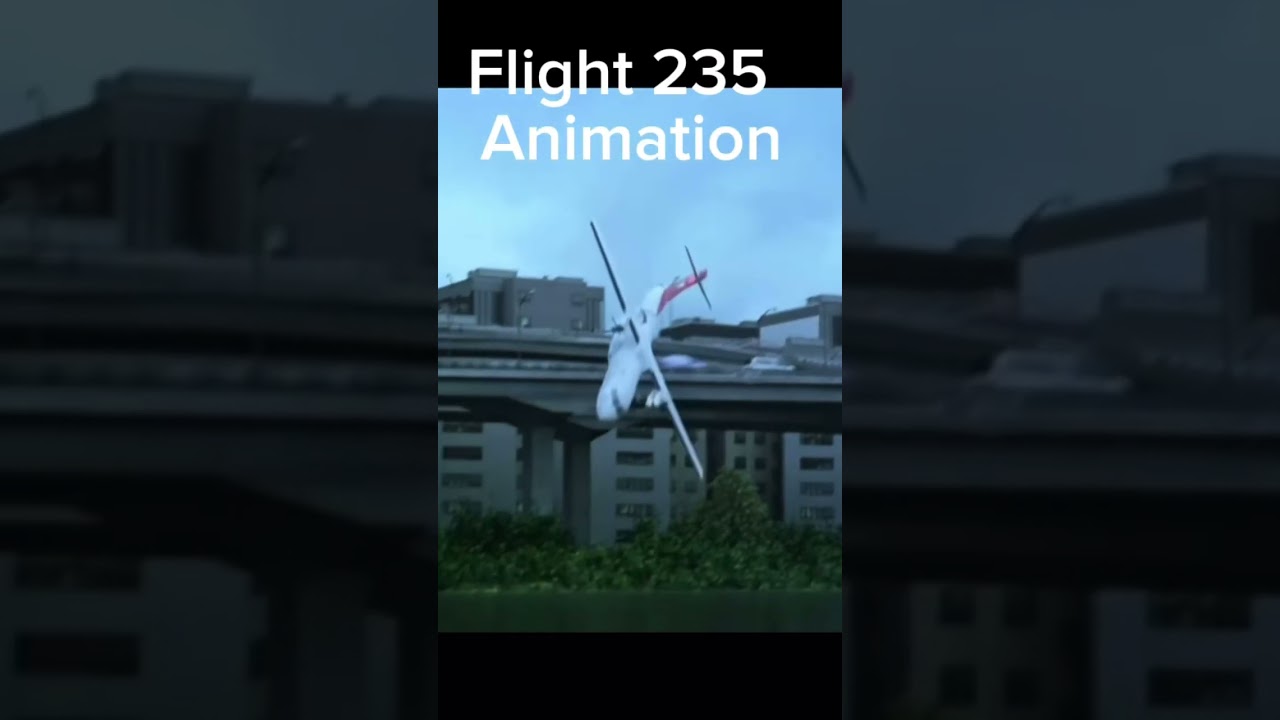 Plane crashes animation VS Real 