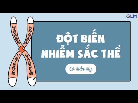 Đột biến nhiễm sắc thể - Khoa học tự nhiên 9 - youtube