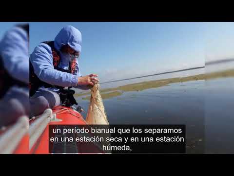 MES DEL AMBIENTE: MONITOREO AMBIENTAL MES DEL AMBIENTE: MONITOREO AMBIENTAL