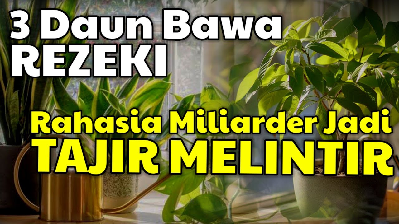 Buruan Tanam! 3 Tanaman Ajaib Pembawa Rezeki Berlimpah - Banyak Orang Belum Tahu Rahasianya!