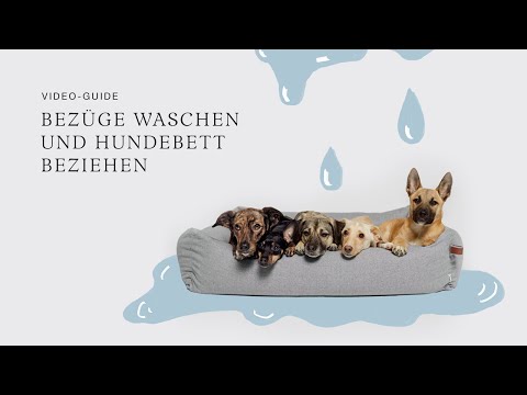 Bezge waschen und Hundebett neu beziehen - YouTube