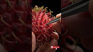 Extreme Rambutan ASMR 🍈✨ Satisfying Spine Extraction Rare Fruit #oddlysatisfying