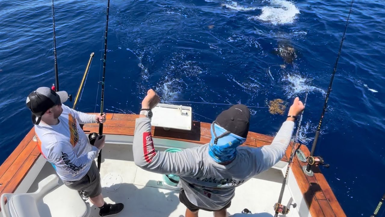 Big shark tried to eat Mahi at the boat !! YouTube