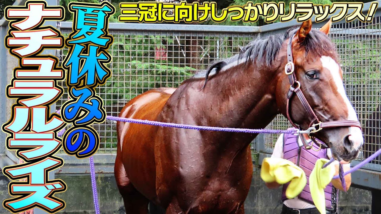 【ジャパンダートクラシック2025】史上初の三冠馬に挑むナチュラルライズの夏に密着！貴重な映像盛りだくさん！《東スポ競馬》