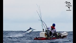 Giant BLACK MARLIN leadered unassisted from a kayak at Los Buzos Panama