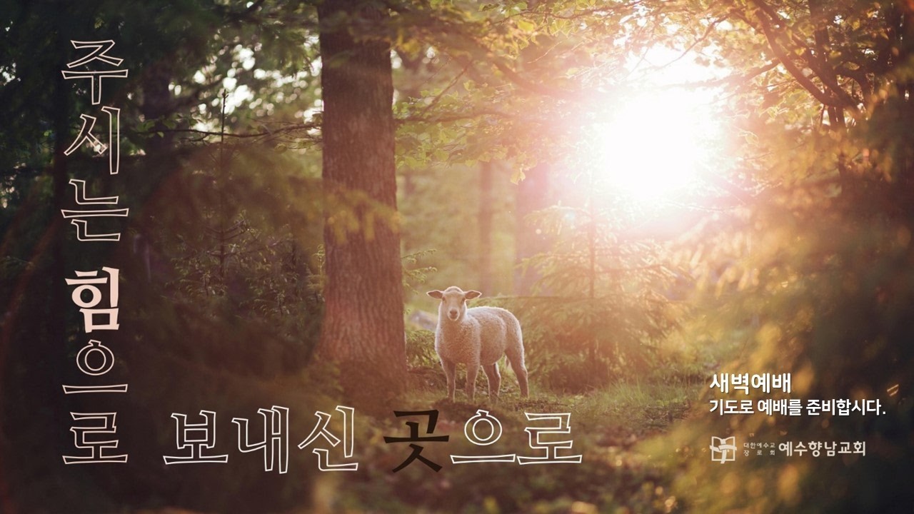 2026.4.6 (월) 새벽예배ㅣ유명진 목사ㅣ닫힌 방, 닫힌 마음에 찾아오신 은혜ㅣ요한복음 20장 19-31절