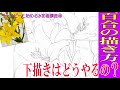 初心者のため水彩画講座㊺　黄色いユリを描く（前編）鉛筆による下書きのやり方。watercolor paintings tutorial yellow lily drawing