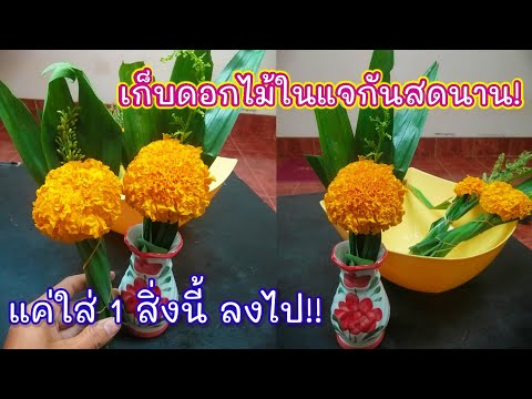 ทำให้ดอกไม้ในแจกแจกัน​สดนานขึ้น​ เคล็ดลับง่ายๆ‼️|แค่เลchannel