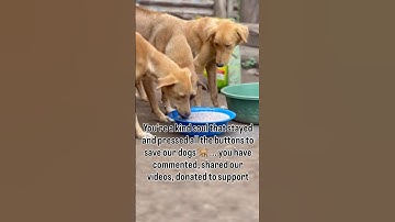 Every bit of your donations counts small or big🙏please donate now via link in bio