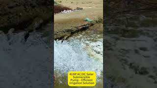 41HP AC/DC Solar Submersible Pump – Efficient Irrigation Solution#SolarPump #IrrigationSystem