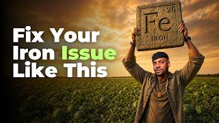 Anemia, Iron Deficiency, Iron Toxicity, & The Diet Plan That Fixes It