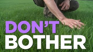 Don't Bother Spreading so Much Fertilizer | Consumer Reports