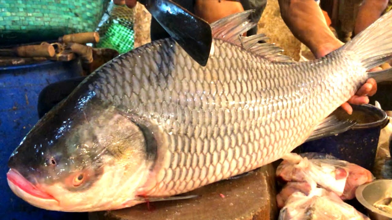 Amazing Big Giant Katla Carp Fish Cutting By Salvam Style A Fish Cutter Boss Cutting The Katla Carp