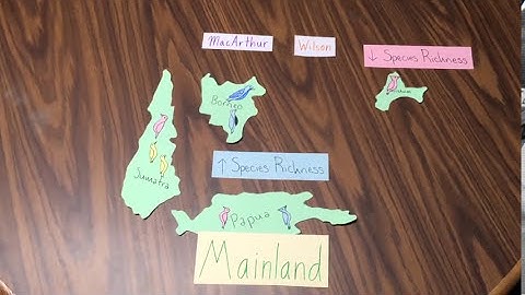 Theory of Island Biogeography