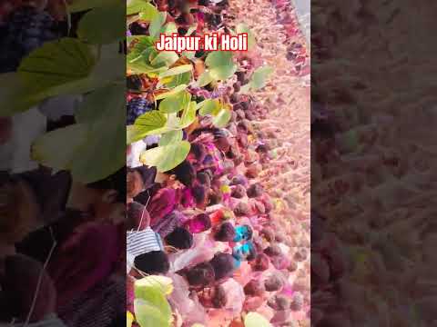 🎉🎉 springboard Holi dhamaka 🎉🎉