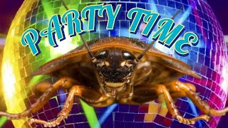 Cockroach Dance Party 🪳😎