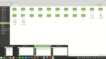 Linux Mint 8 - OpenFoam v1912 and Paraview Install no docker