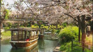 Nước Chảy Hoa Trôi / Water Flows, Flowers Drift | J-Steve Pham - [Instrumental]