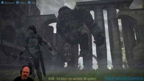 Shadow of the Colossus | Finale: Argus [15], Malus [16] | PS4