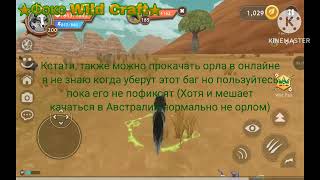 картинка: Совет по прокачке 2! + Баг на паука в Вилд Крафт!
