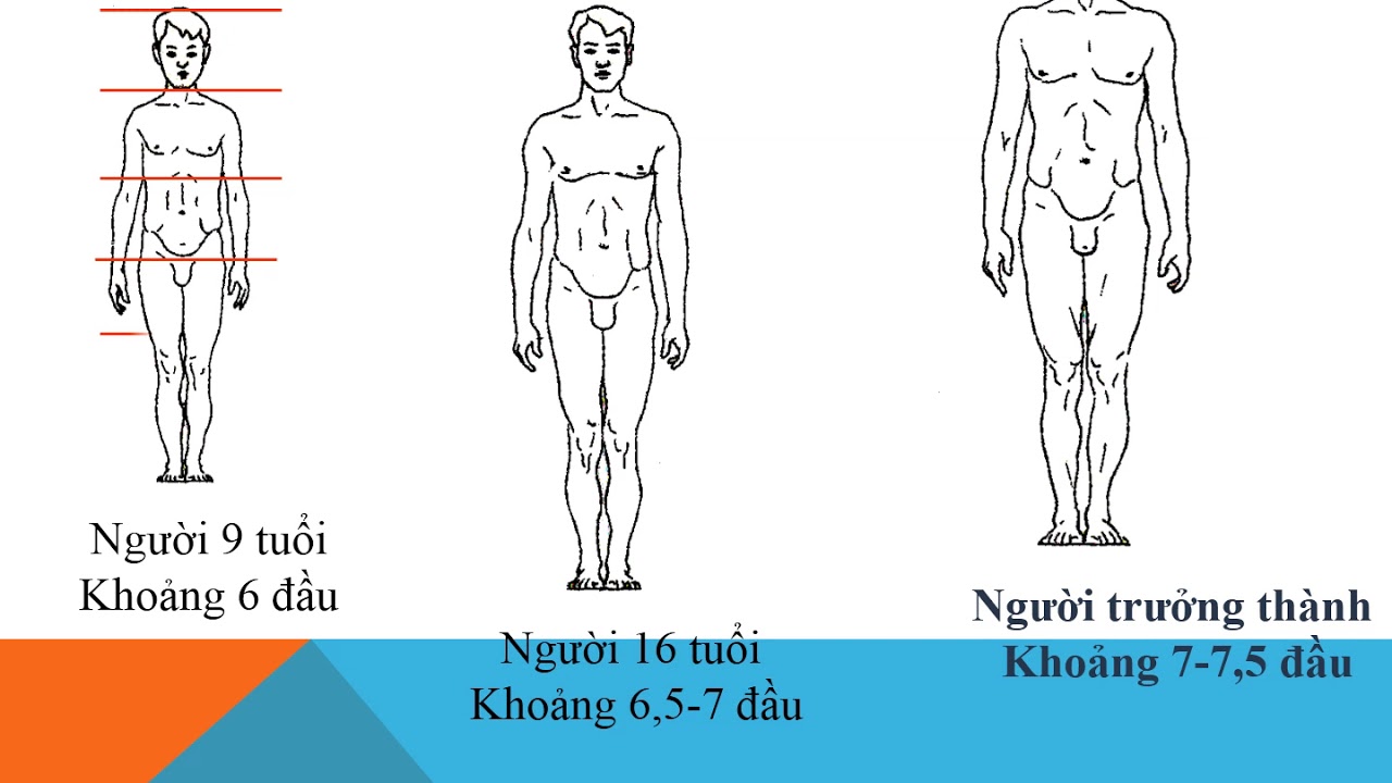 Tỉ lệ cơ thể người đã làm say đắm lòng người suốt hàng thế kỷ. Từ hình dáng thanh mảnh của phụ nữ Nhật Bản cho đến thể hình khỏe khoắn của người Tây Ban Nha, mỗi quốc gia đều có những tiêu chuẩn và mẫu số riêng về tỉ lệ cơ thể. Hãy cùng xem những bức ảnh đẹp về tỉ lệ cơ thể ở đây!