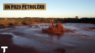 Más de 300 animales muertos por un pozo petrolero a la deriva en Pichanal, Salta