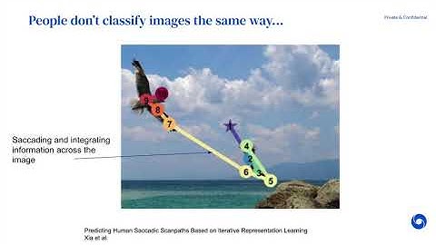 Towards Robust Image Classification Using Sequential Attention Models
