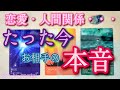 見た時がタイミング🎯たった今お相手の本音・本心サイキックタロット🔮恋愛・人間関係