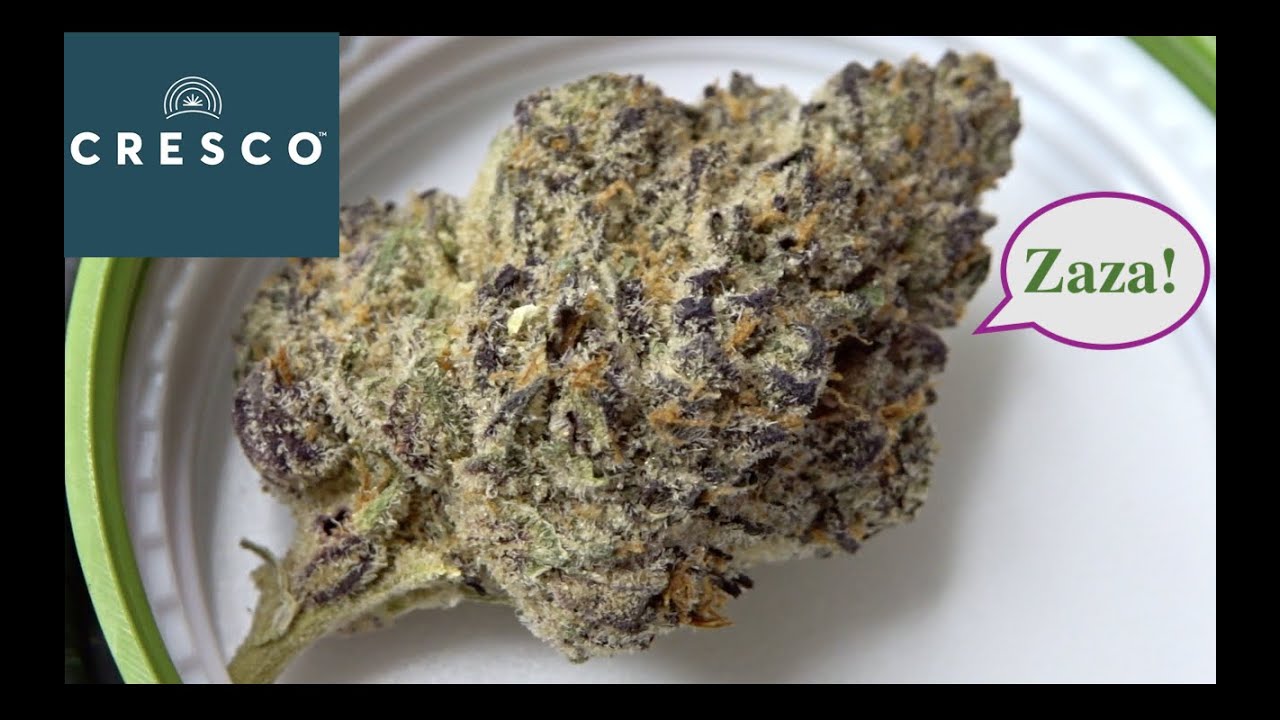 High Times Cannabis Cup: Cresco *Slurricrasher* (Strain Review)