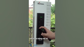 Khoá Cửa Vân Tay Demax SL266 BN - Khoá Cửa Điện Tử Thông Minh Giá Rẻ - Dành Cho Cửa Gỗ