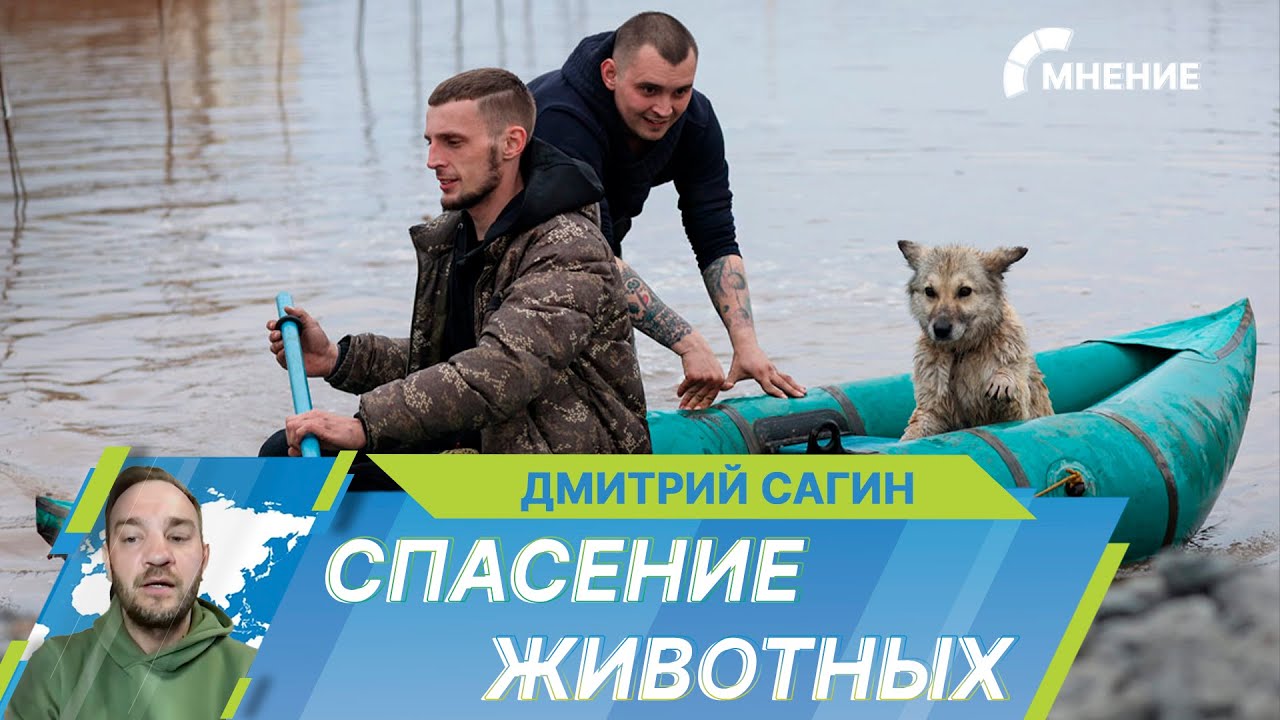 Волонтеры рассказали о спасении животных из зон затопления в Оренбуржье