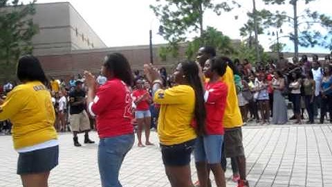 UCF NPHC