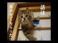 何ソレ 伊集院光 変身忍者 嵐のスゴイ設定を語る 何ソレ 伊集院光 変身忍者 嵐のスゴイ設定を語る