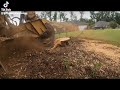 Stump grinding a cedar stump