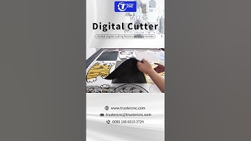 Automatic carpet cutting machine丨Printed fabric cutter