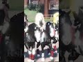 С кск всегда хорошо#у меня тут появился аккаунт в лайке называеться [Артик Судель