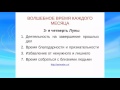 Лариса Добаева &quot;Жизнь без лекарств&quot; Астролог  Дубхе Ольга Межден.онлайн конференция