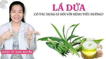 Tác dụng của lá dứa đối với bệnh tiểu đường như thế nào?