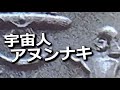 宇宙人アヌンナキについて 進化論はもう古い、人類の進化に介在したThe great power
