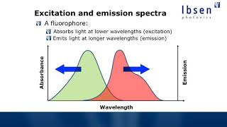 Fluorescence Spectroscopy Tutorial - Basics of Fluorescence