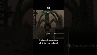 silt — The Elder Scrolls V: Skyrim dialogue scene