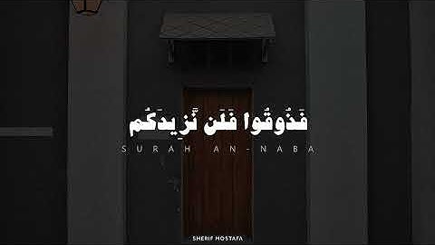 سورة النبأ | بصوت القارئ شريف مصطفى 