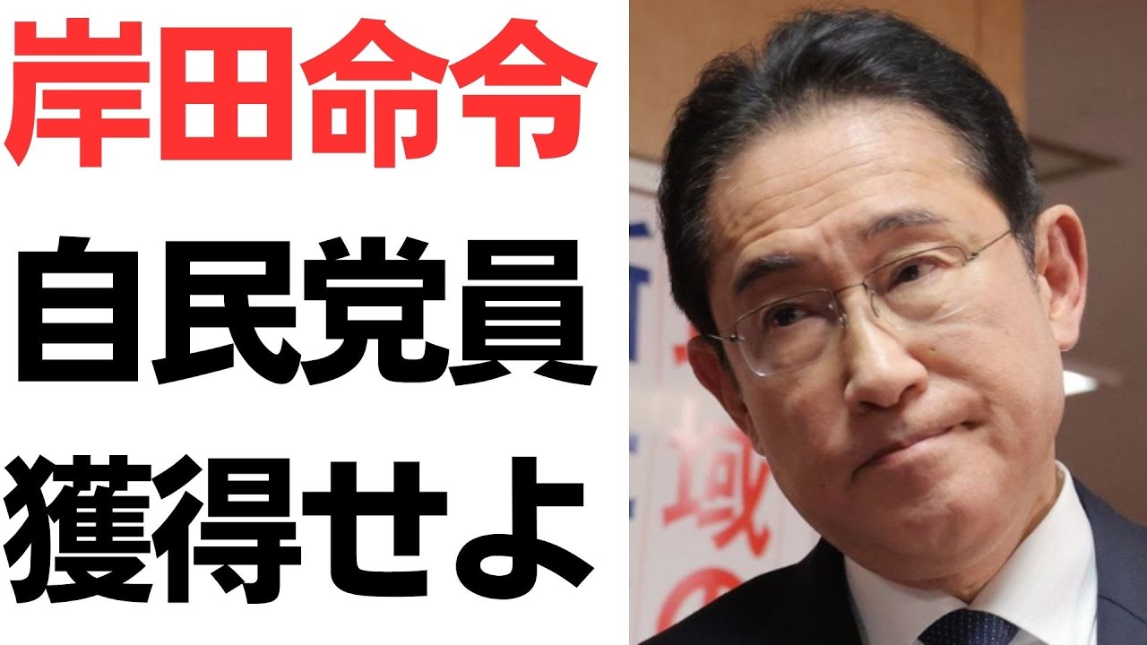 自民党員減少と党員獲得方針を扱う動画のサムネイル