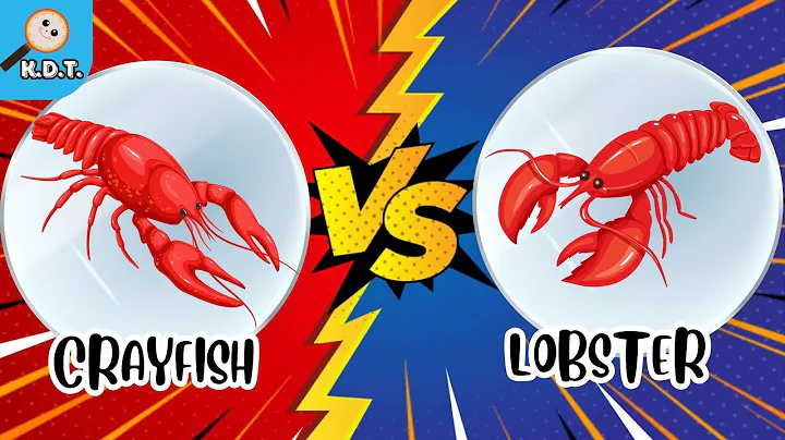 What are the differences between Crayfish and Lobster? | Discover Sea Animals