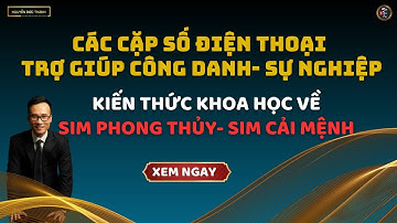 Các cặp từ trường SĐT- Phát triển công danh sự nghiệp- Bát cực linh số- Sim cải mệnh