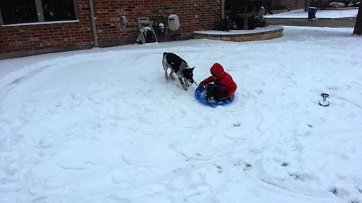 Eli and Max in the snow
