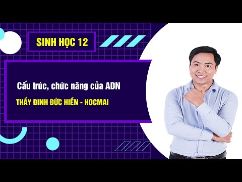 Video: Cấu trúc của ADN và chức năng của nó là gì?