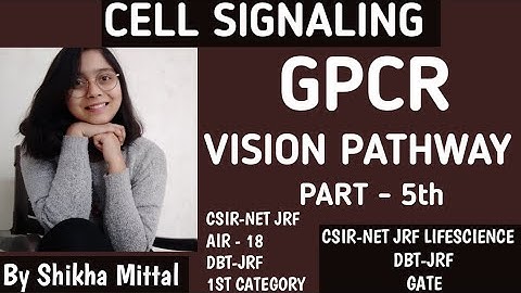 GPCR VISION PATHWAY - CELL SIGNALING CSIR-NET JRF LIFESCIENCE