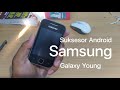 Spesifikasi Lengkap HP Samsung Galaxy Young 1: Performa Tangguh dengan Harga Terjangkau